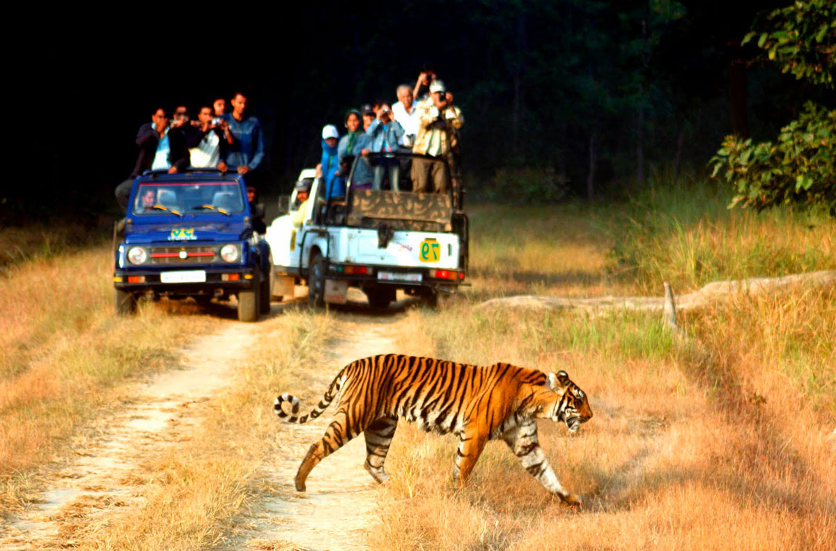 5 Most Family Holidays Destinations in India to Experience Adventure