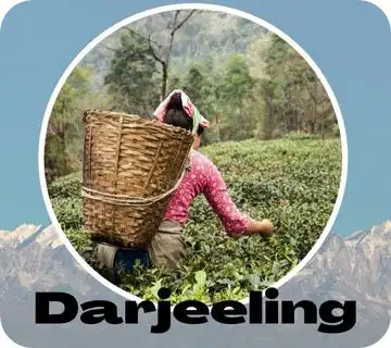 DARJEELING packages