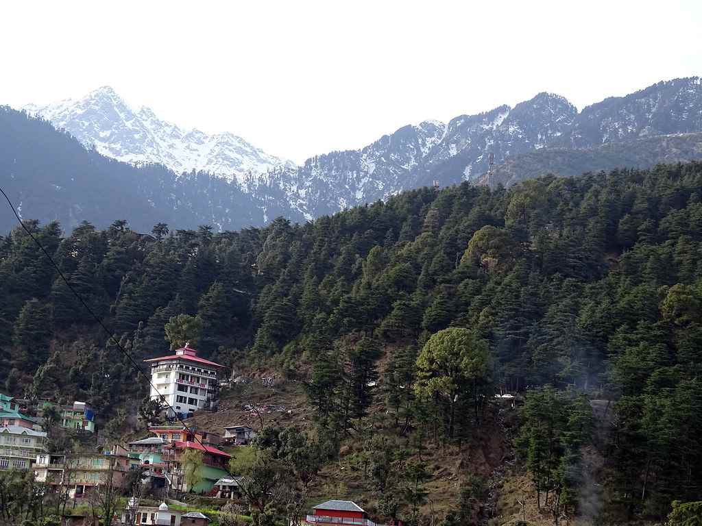 Hills Of Mcleodganj