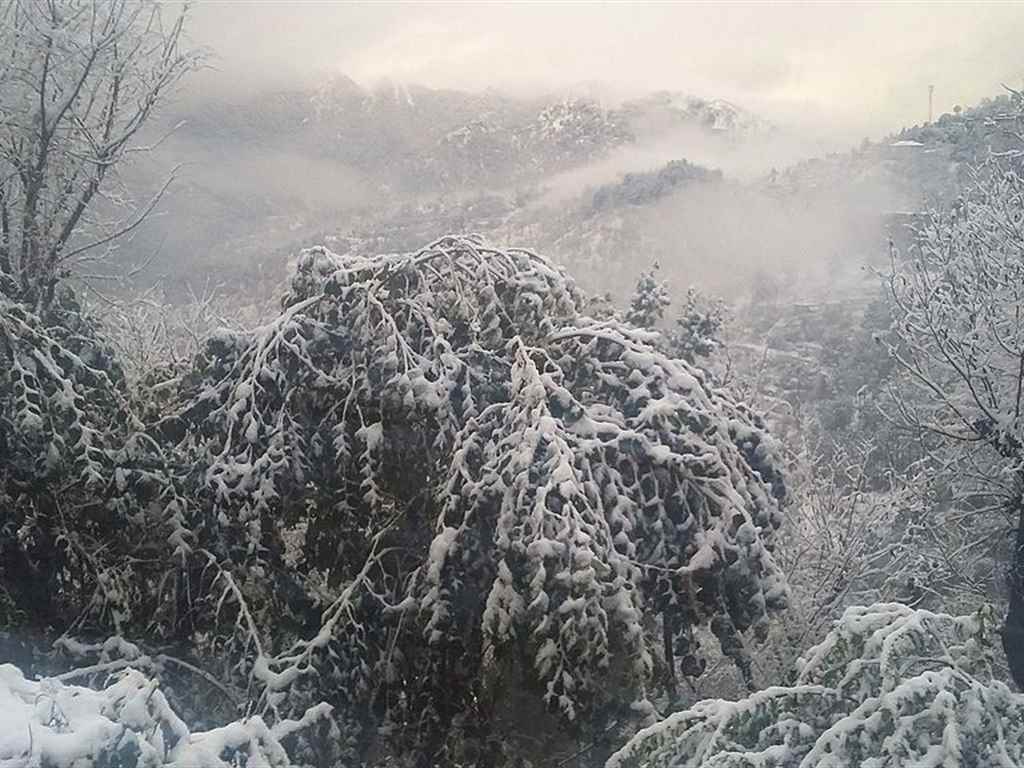 Shimla Winter Holiday