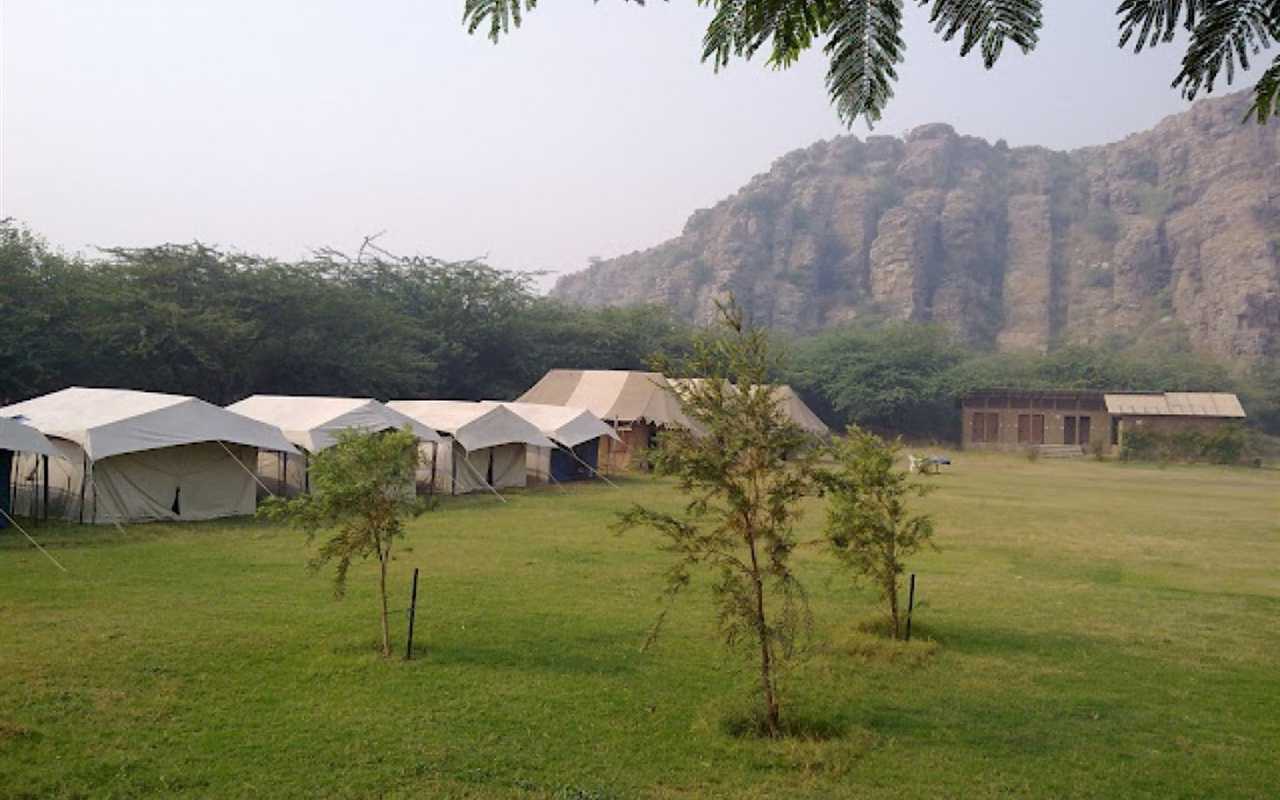 camp-wild-dhauj